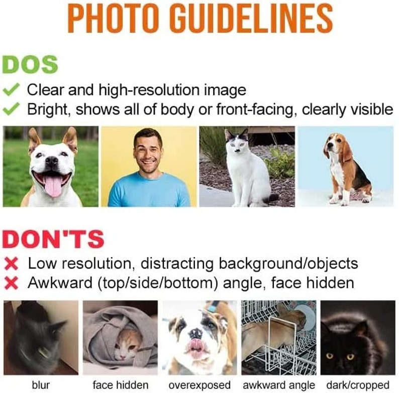 litzzy Memorial Pet Collar With Photo, Pet Memorial Collar Sign, Personalized Heartfelt Gift, Dog Bereavement, Cat Bereavement Pet Picture Frame   