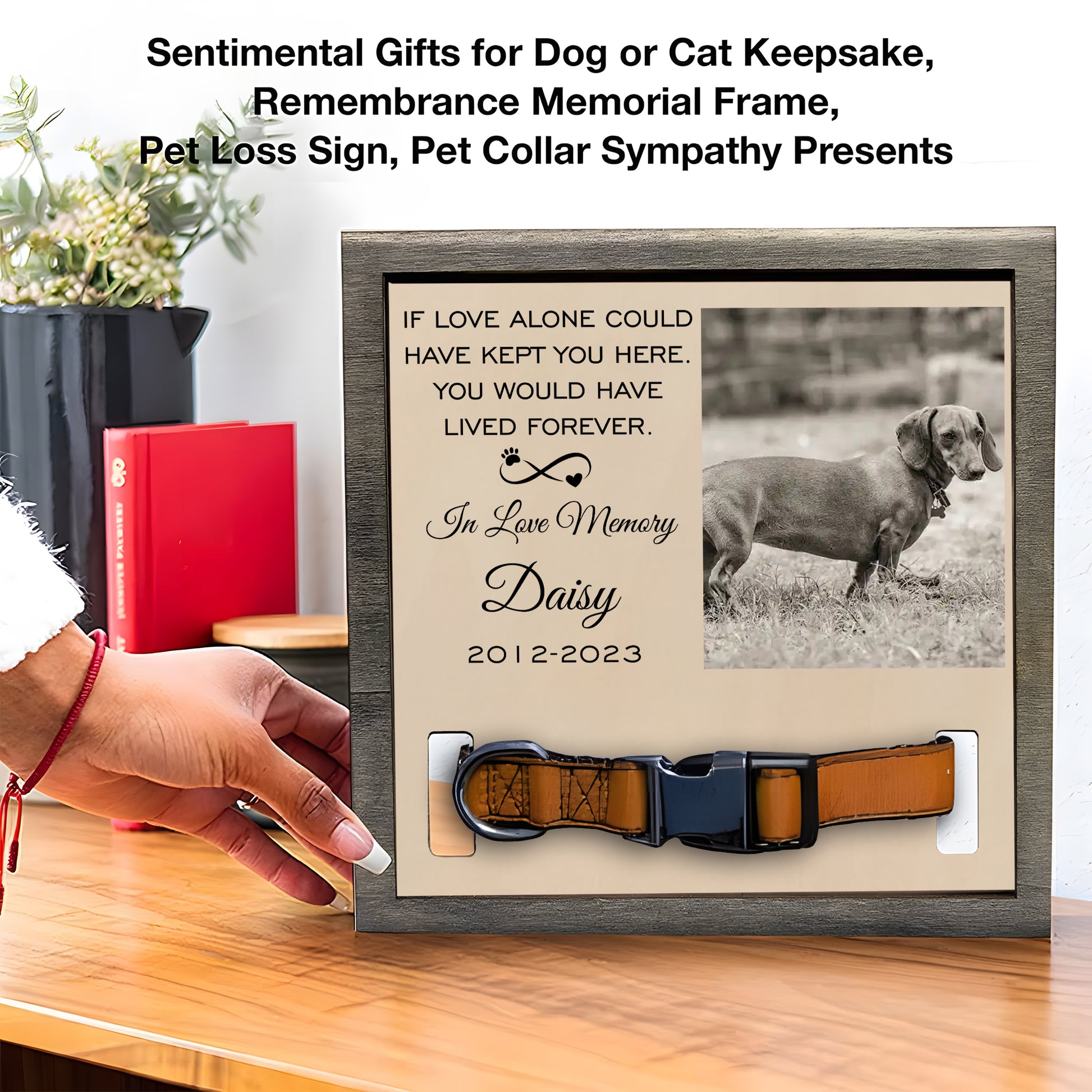 litzzy Puppy Memorial Wood Frame With Collar Holder Dog Loss Gift Dog Bereavement Gift Dog Memorial Gifts Pet Loss Gifts Pet Sympathy Gift Pet Picture Frame   