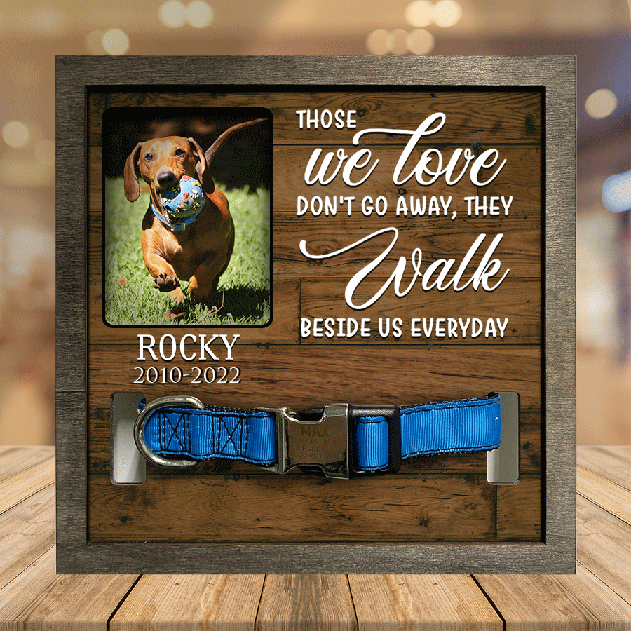 litzzy A Dachshund Pet Picture Frames Memorial Dog hardest to say goodbye Dog Lover Gift, Memorial Gifts Pet Picture Frame Style 5 7.9 x 7.9 