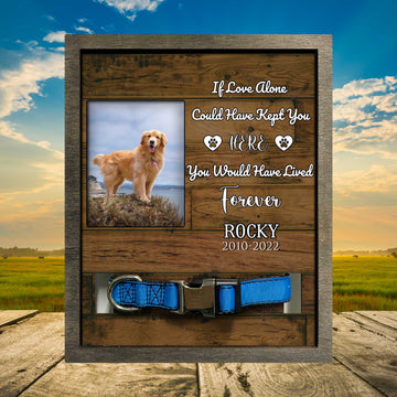 litzzy Personalized Memorial Frame For Loss Of Dog, 10.6 x 8.7 Picture Frame, Lost Pet Sign Pet Picture Frame Style 1 8.7 x 10.6 