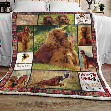 litzzy Anatomy Irish Setter GS-CL-ML1211 Sherpa Fleece Blanket Fleece Blanket   