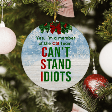litzzy Can't Stand Idiots Ornament   