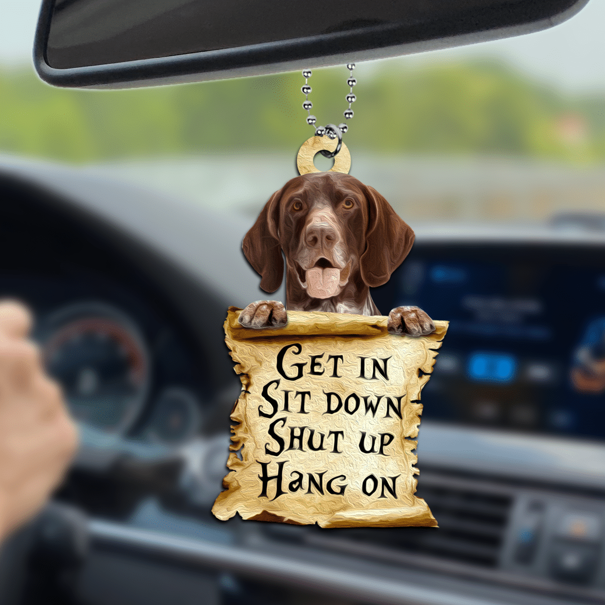 litzzy German Shorthaired Pointer Get In Sit Down Shut Up And Hang On Plastic Car Hanging Ornament Ornament   