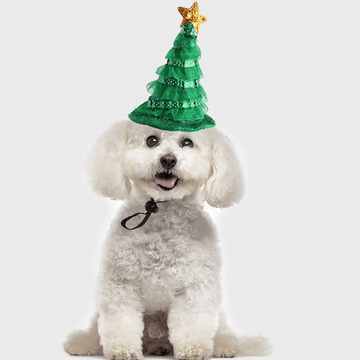 litzzy Santa Dog Hat, Santa Beard Hat for Dogs Cats ,Custom Cat Hat Ornament Green One Size 