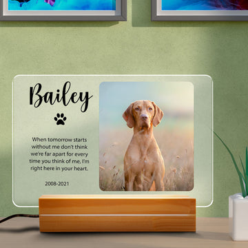litzzy Custom LED Dog Lamp, Personalized Pet Photo Light, Pet Lover Gift, Pet Memorial Lamp, Mother's Day Gift Night Light   