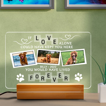 litzzy Custom LED Dog Lamp, Personalized Pet Photo Light, Pet Lover Gift, Pet Memorial Lamp, Mother's Day Gift Night Light Rectangle base 6x9  