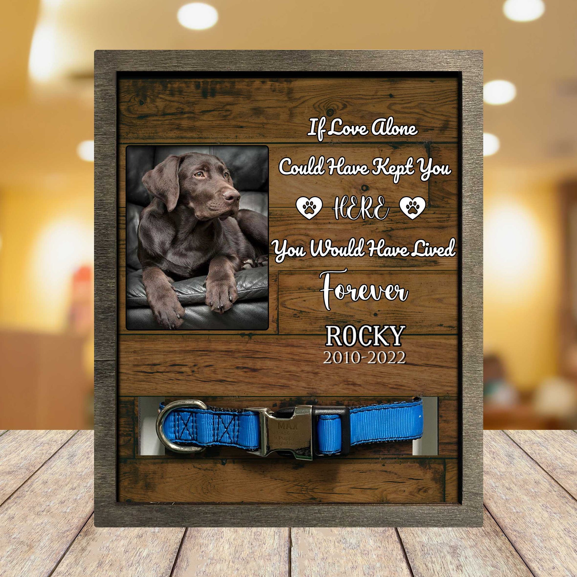 litzzy Labrador Retriever Memorial Gifts, Dog Lovers Picture Frame, Dog Memorial Gift Pet Picture Frame Style 2 8.7 x 10.6 