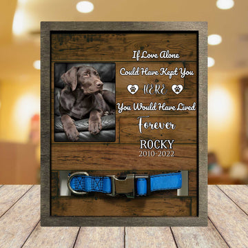 litzzy Labrador Retriever Memorial Gifts, Dog Lovers Picture Frame, Dog Memorial Gift Pet Picture Frame Style 2 8.7 x 10.6 