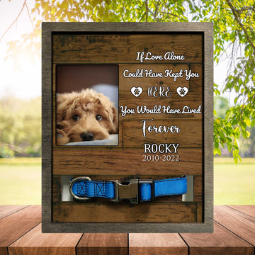 litzzy Pet Memorial Pet Loss Remembrance, Keepsake Plaque, Memorial Pet Loss Sign Pet Picture Frame Style 2 8.7 x 10.6 