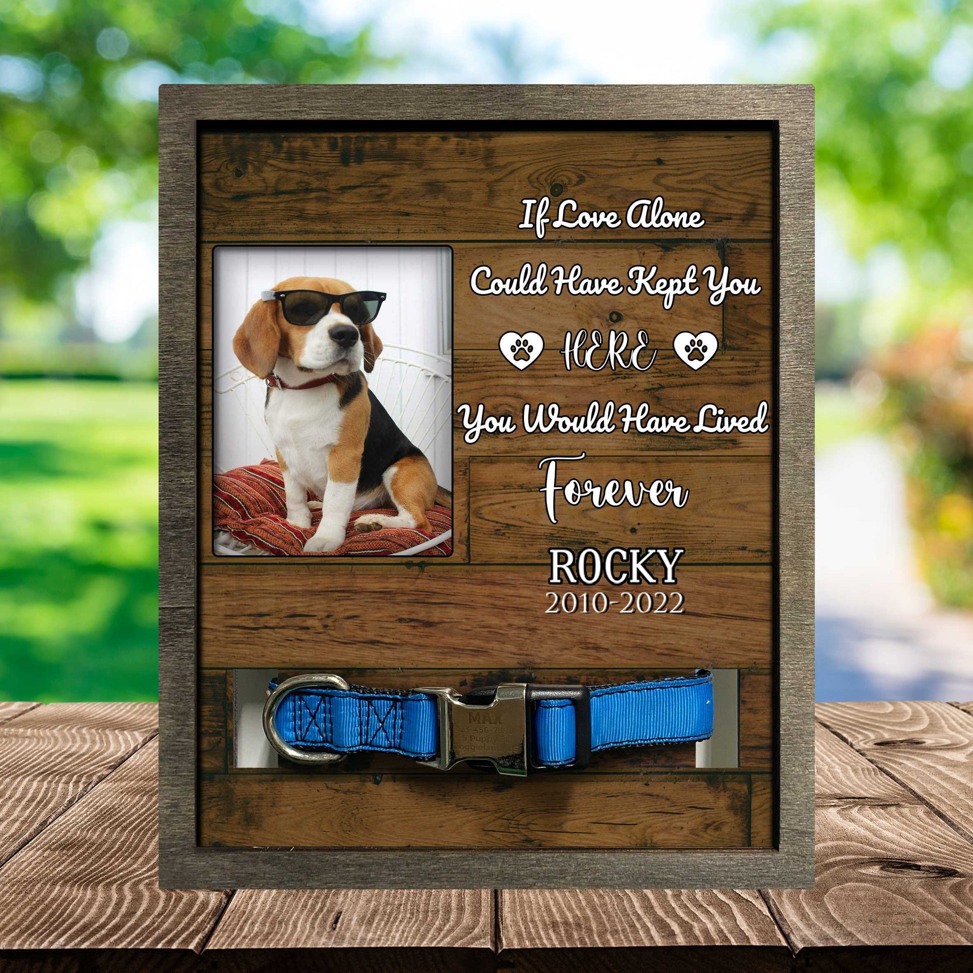 litzzy My Hardest Goodbye Picture Frame, Pet Memorial Picture Frame, Loss Of Dog Gifts Pet Picture Frame Style 3 8.7 x 10.6 