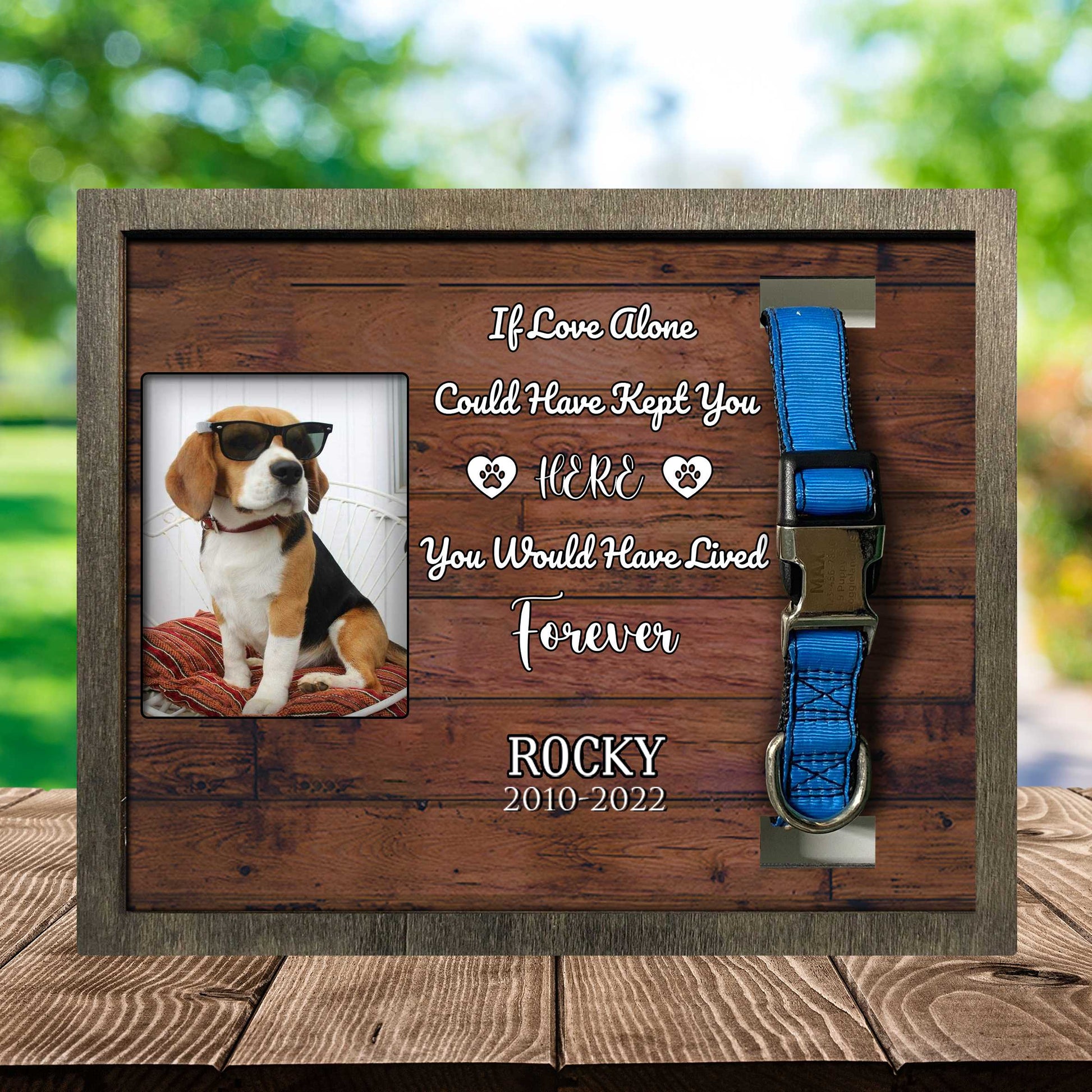 litzzy My Hardest Goodbye Picture Frame, Pet Memorial Picture Frame, Loss Of Dog Gifts Pet Picture Frame Style 3 10.6 x 8.7 