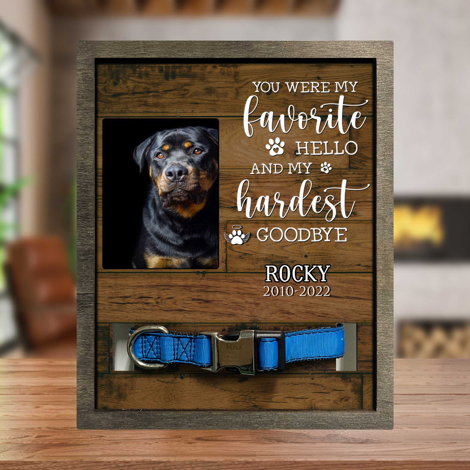 litzzy You Were My Favorite Hello, Dog Memorial Gifts, Pet Loss Gifts, Passed Away Dog Gifts Pet Picture Frame Style 1 8.7 x 10.6 