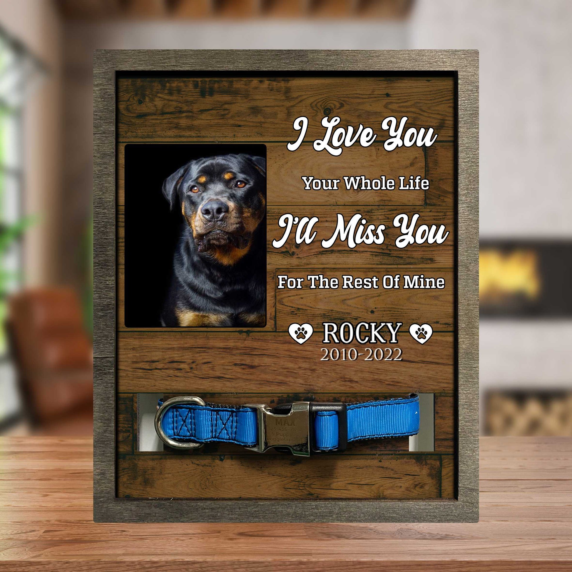 litzzy You Were My Favorite Hello, Dog Memorial Gifts, Pet Loss Gifts, Passed Away Dog Gifts Pet Picture Frame Style 2 8.7 x 10.6 