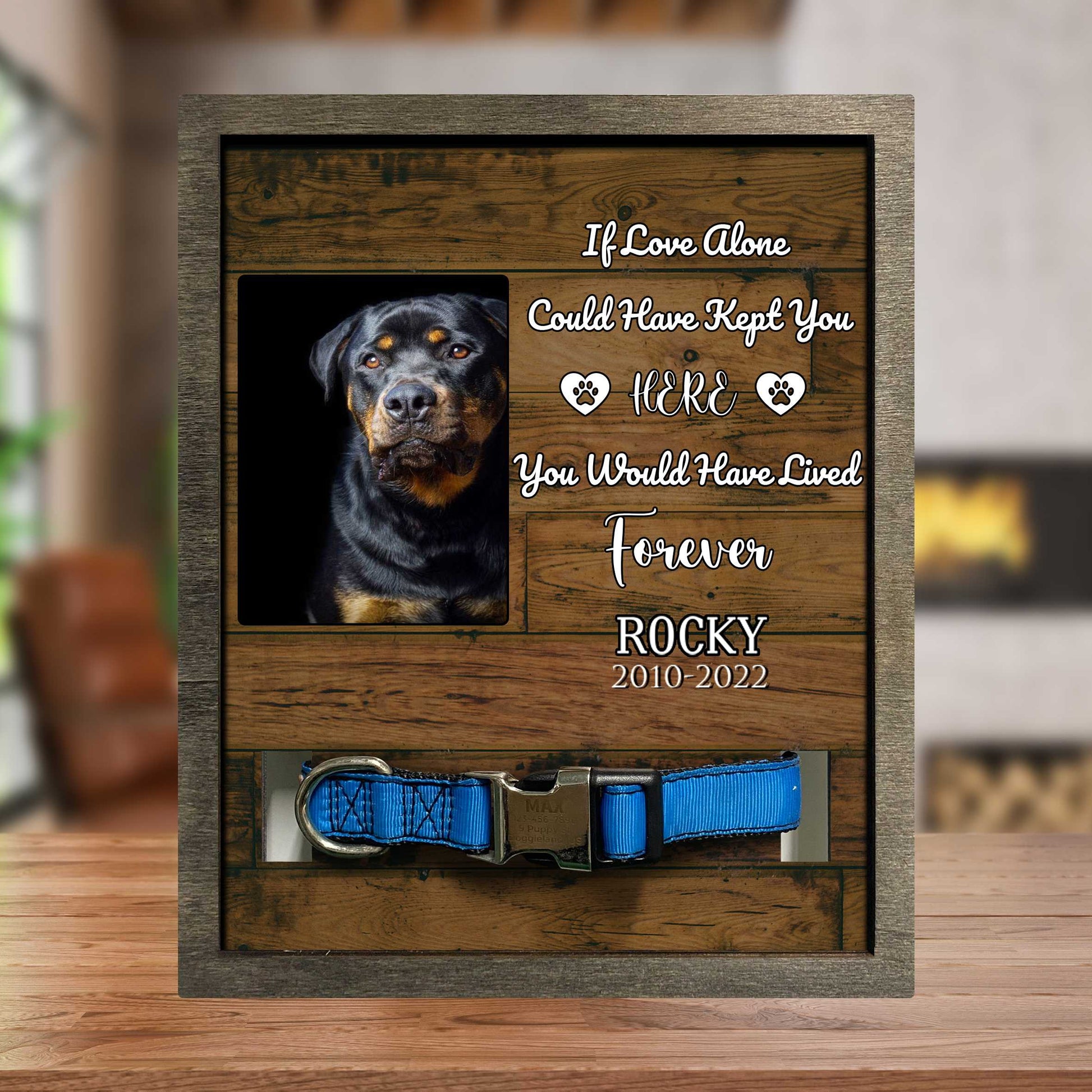 litzzy You Were My Favorite Hello, Dog Memorial Gifts, Pet Loss Gifts, Passed Away Dog Gifts Pet Picture Frame Style 3 8.7 x 10.6 