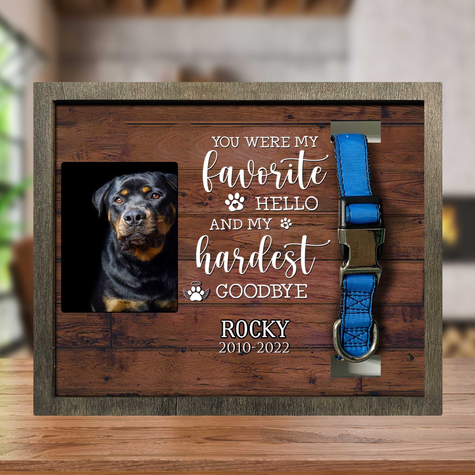 litzzy You Were My Favorite Hello, Dog Memorial Gifts, Pet Loss Gifts, Passed Away Dog Gifts Pet Picture Frame Style 1 10.6 x 8.7 