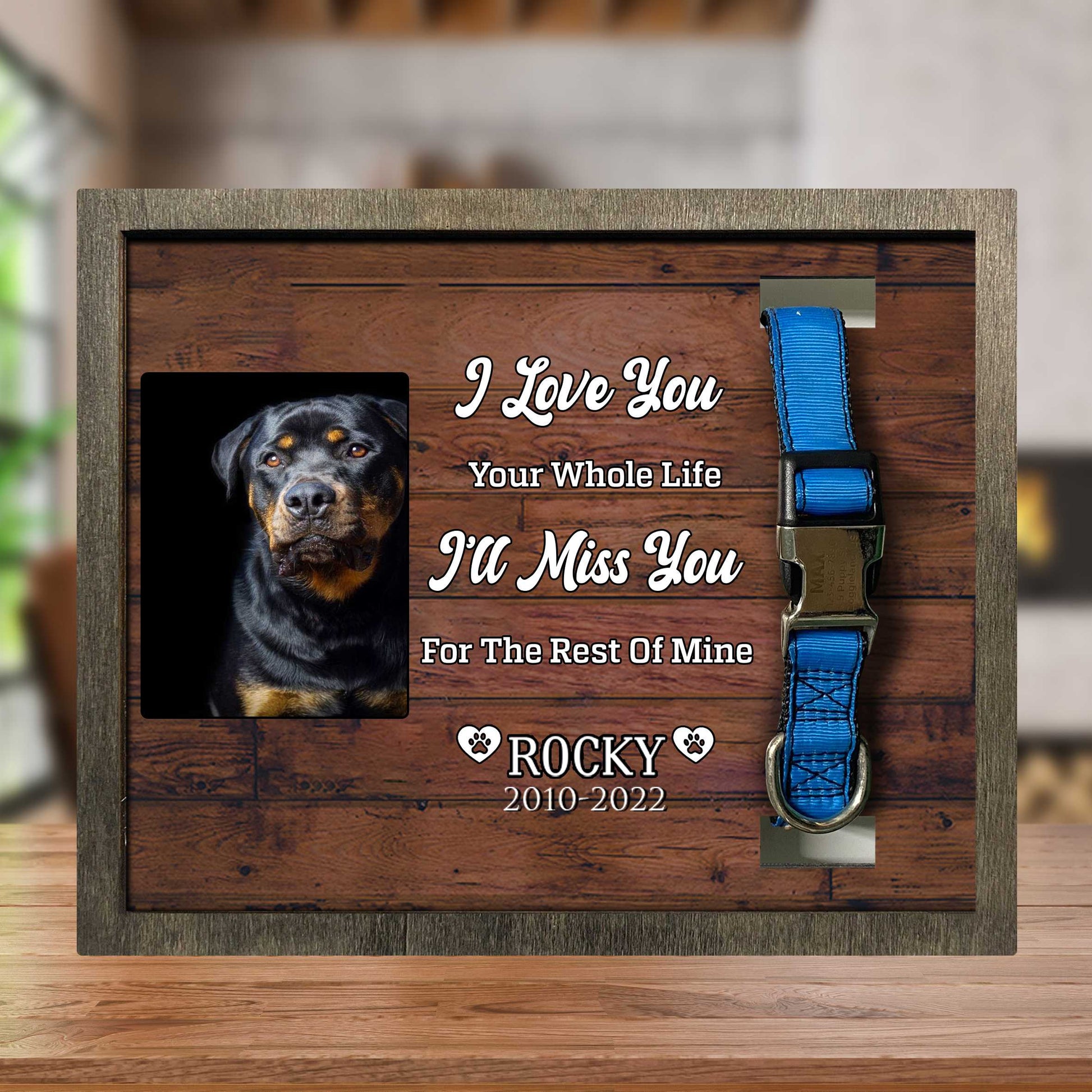 litzzy You Were My Favorite Hello, Dog Memorial Gifts, Pet Loss Gifts, Passed Away Dog Gifts Pet Picture Frame Style 2 10.6 x 8.7 