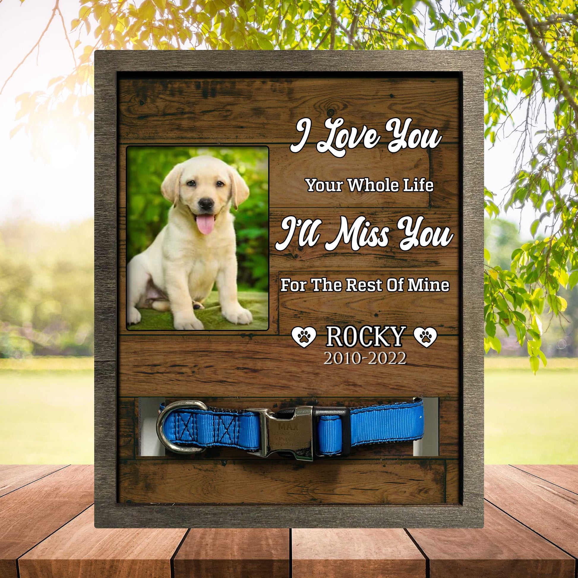 litzzy My Favorite Hello And Hardest Goodbye, Dog Photo Keepsake, Pet Loss Sympathy, Dog Memorial Plaque Pet Picture Frame Style 2 8.7 x 10.6 