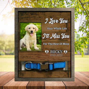 litzzy My Favorite Hello And Hardest Goodbye, Dog Photo Keepsake, Pet Loss Sympathy, Dog Memorial Plaque Pet Picture Frame Style 2 8.7 x 10.6 