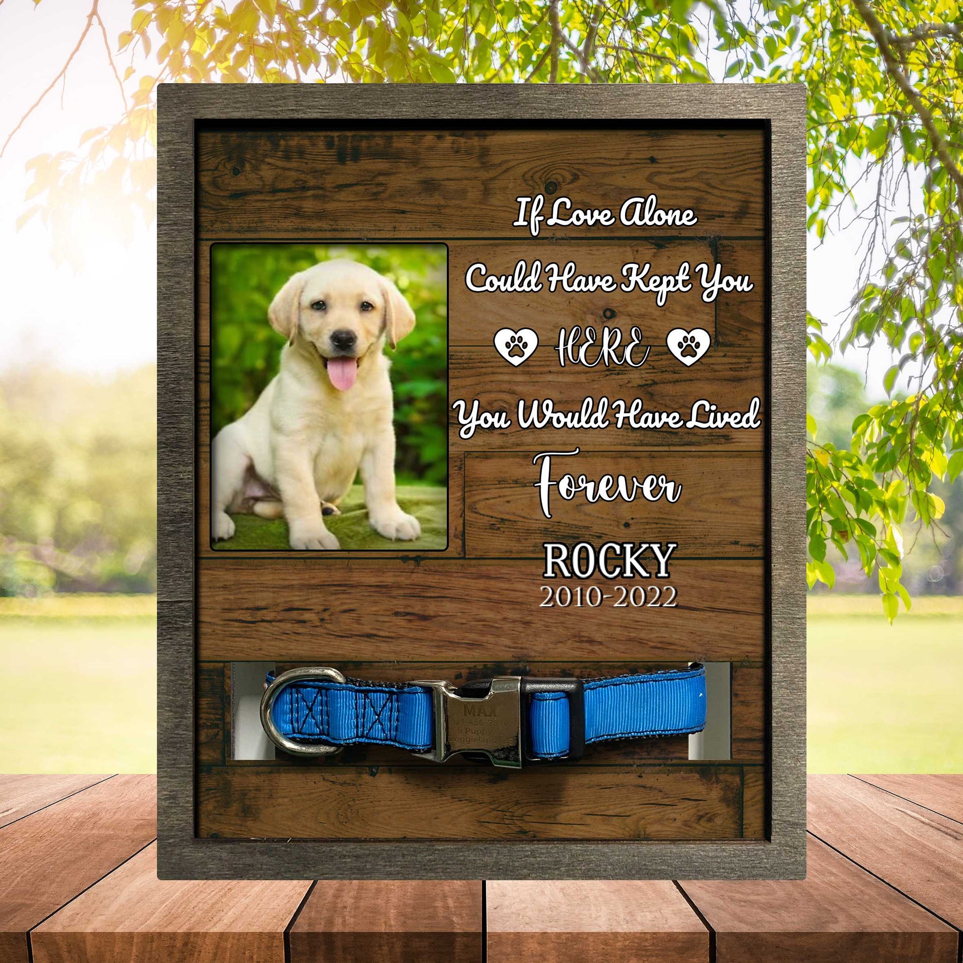 litzzy My Favorite Hello And Hardest Goodbye, Dog Photo Keepsake, Pet Loss Sympathy, Dog Memorial Plaque Pet Picture Frame Style 3 8.7 x 10.6 