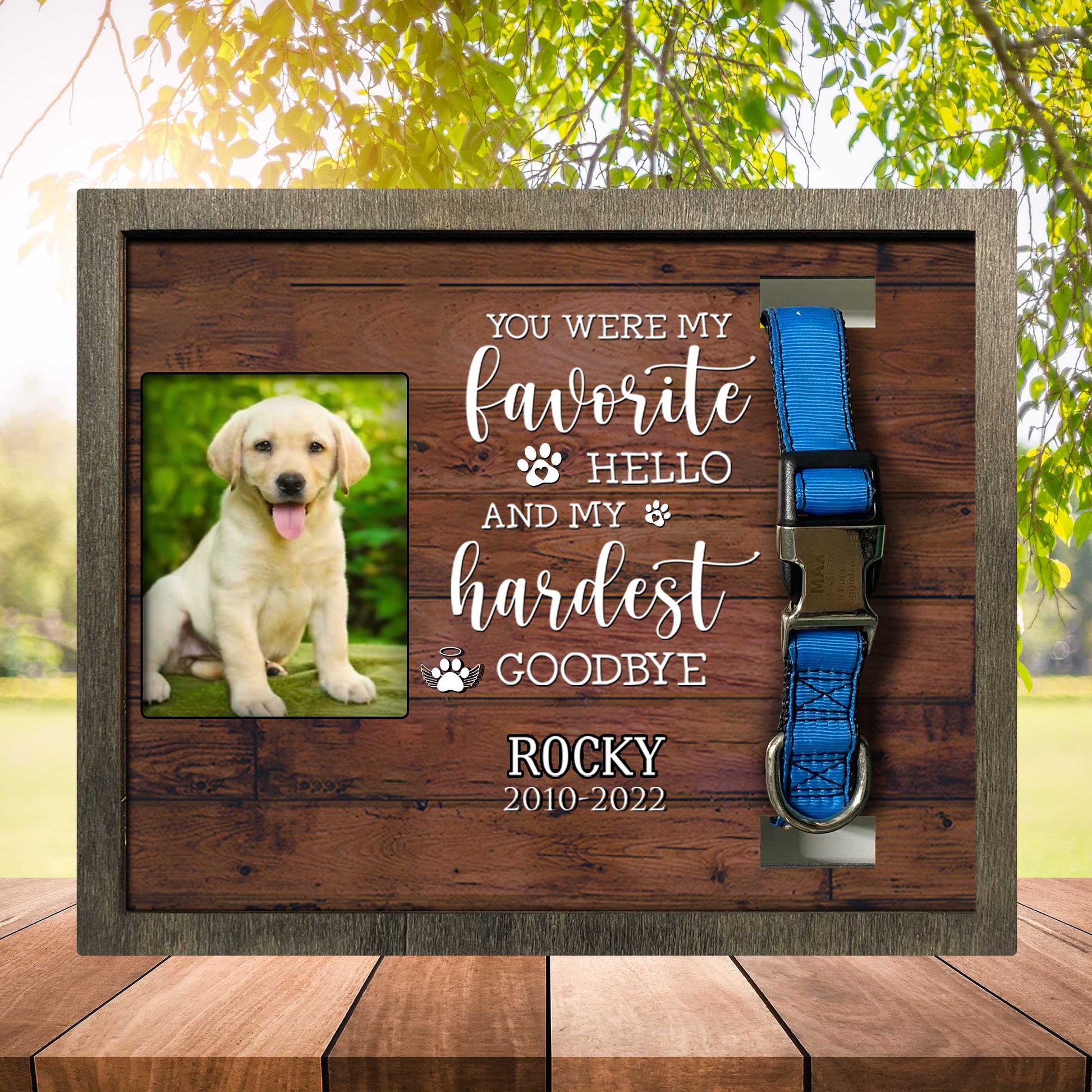 litzzy My Favorite Hello And Hardest Goodbye, Dog Photo Keepsake, Pet Loss Sympathy, Dog Memorial Plaque Pet Picture Frame Style 1 10.6 x 8.7 
