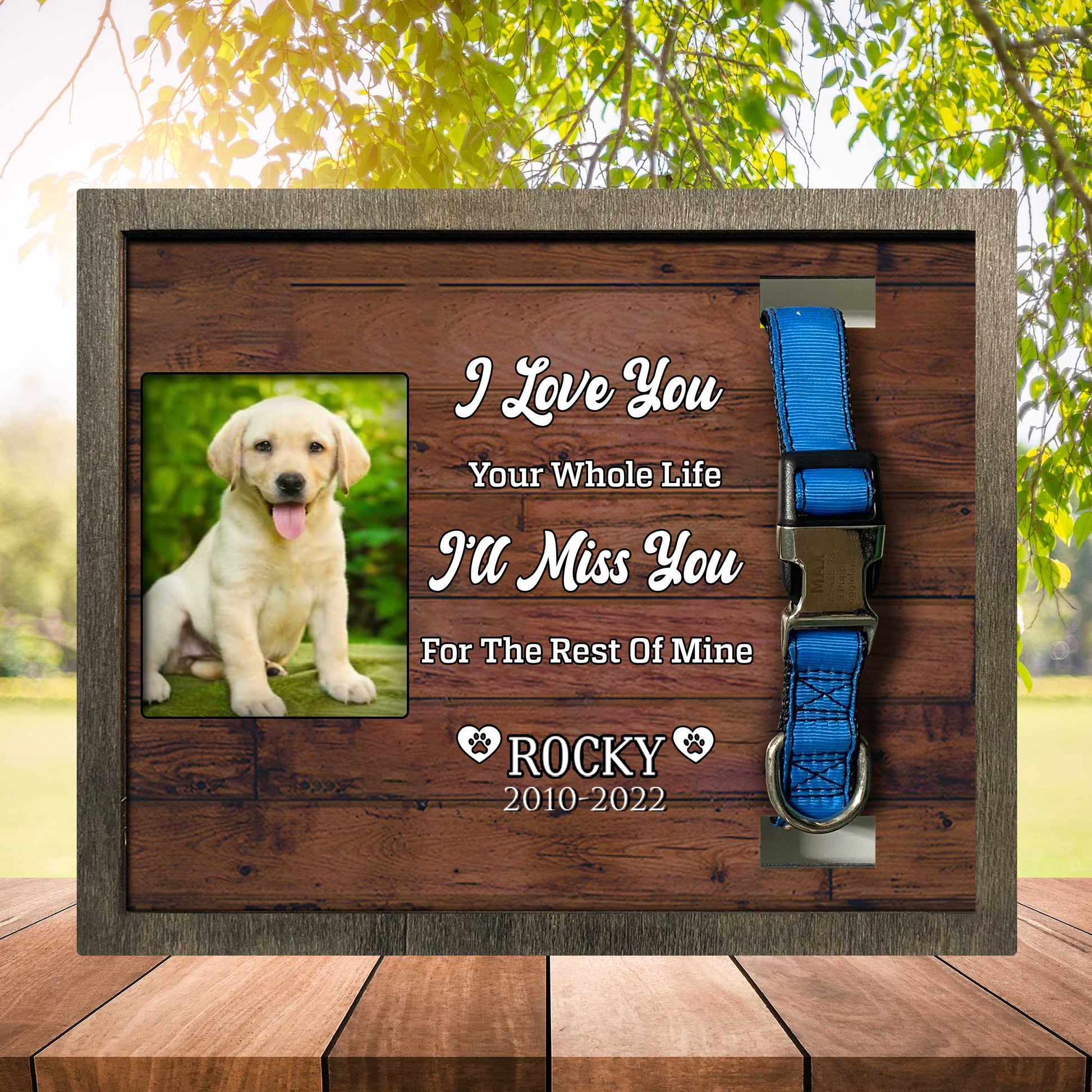 litzzy My Favorite Hello And Hardest Goodbye, Dog Photo Keepsake, Pet Loss Sympathy, Dog Memorial Plaque Pet Picture Frame Style 2 10.6 x 8.7 