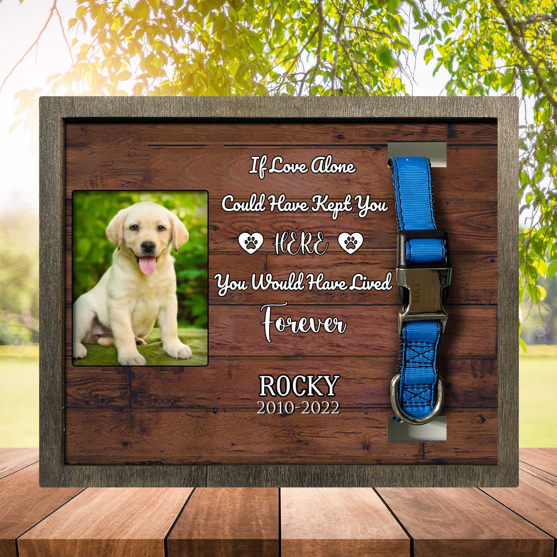 litzzy My Favorite Hello And Hardest Goodbye, Dog Photo Keepsake, Pet Loss Sympathy, Dog Memorial Plaque Pet Picture Frame Style 3 10.6 x 8.7 