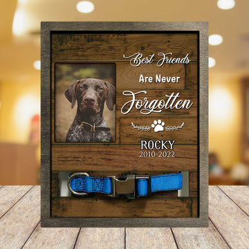 litzzy Best Friends Are Never Forgotten, Personalized Picture Frame Memorial Gifts Pet Picture Frame Style 1 8.7 x 10.6 