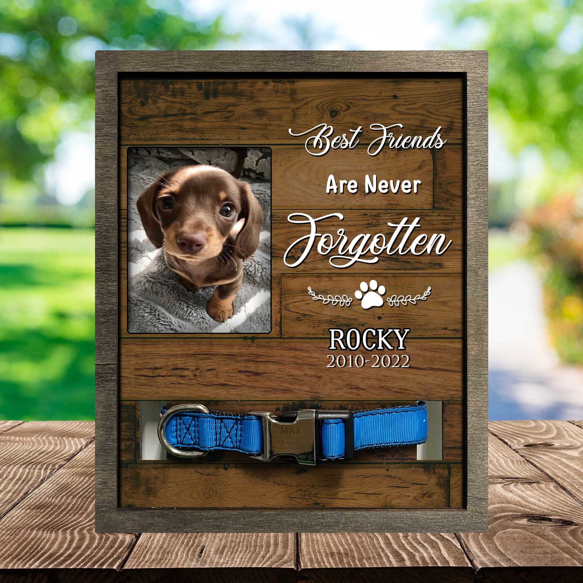 litzzy Memorial Gifts For Loss Of Dog, Passed Away Dog Gifts, Remembrance Gift For A Grieving Pet Owner Pet Picture Frame Style 2 8.7 x 10.6 