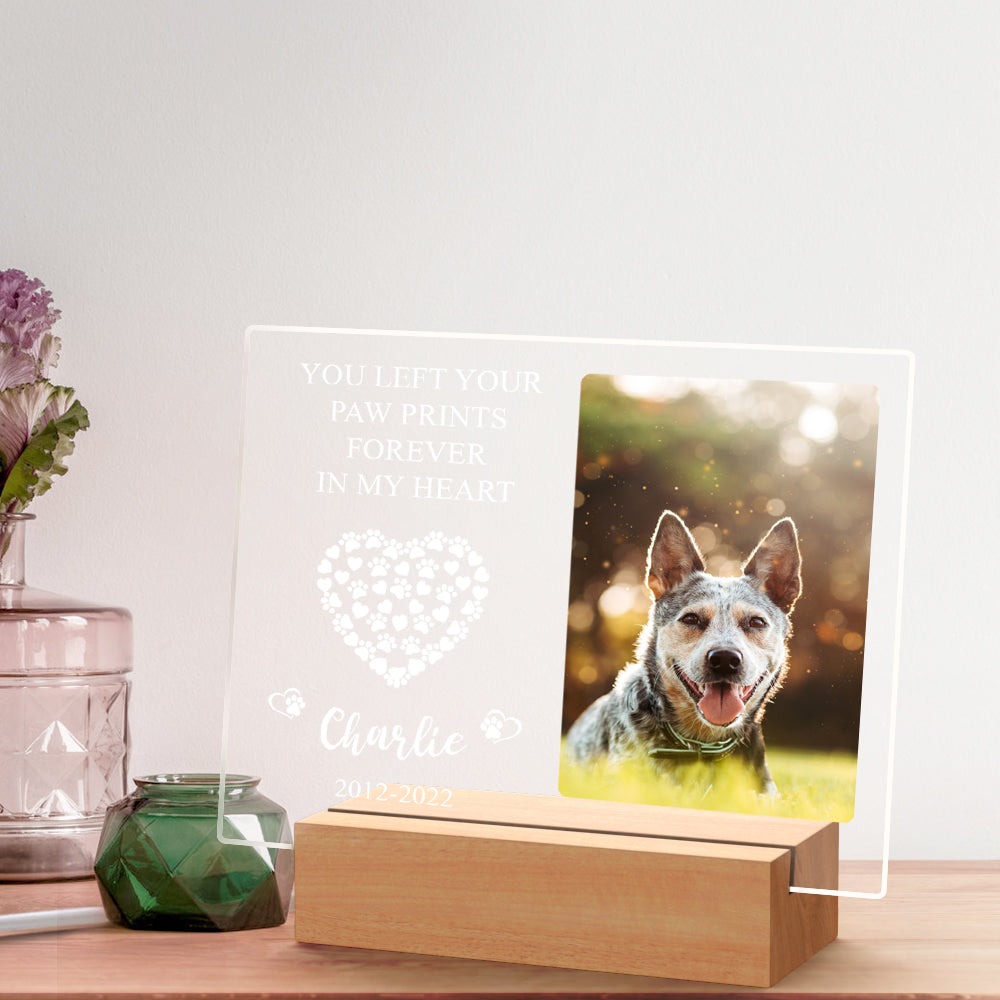 litzzy Custom Pet Memorial Night Light Personalized Bedroom Decor Night Light   