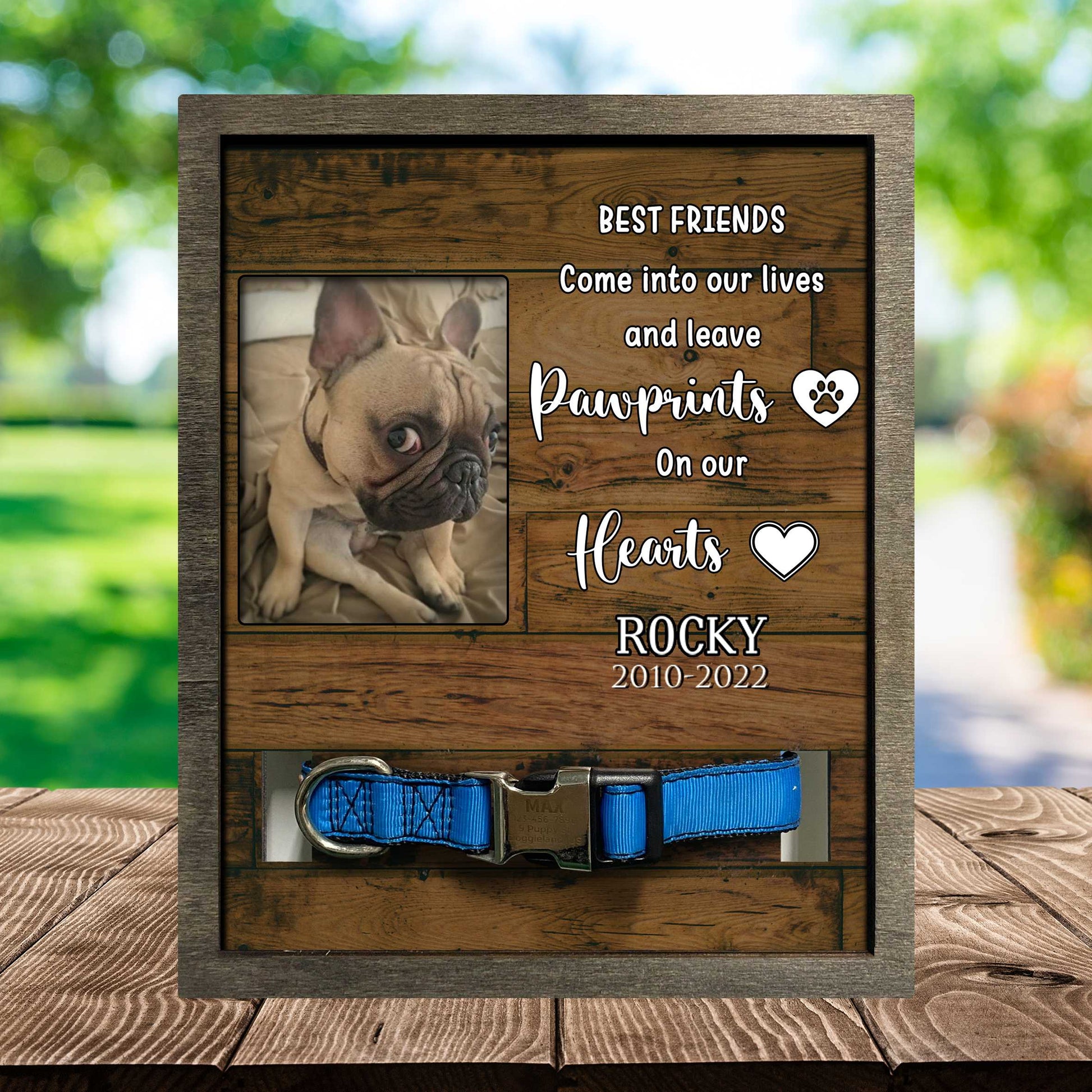 litzzy Dog Collar Memorial Photo Frame, Pet Memorial Picture Frame, Memorial Frames For Dog Pet Picture Frame Style 3 8.7 x 10.6 