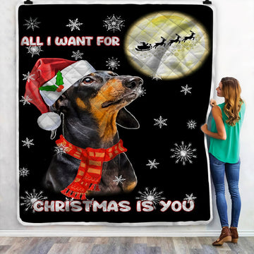 litzzy All I Want For Christmas Is You Dachshund NI2110134KL Sherpa Fleece Blanket Sherpa Fleece Blanket   