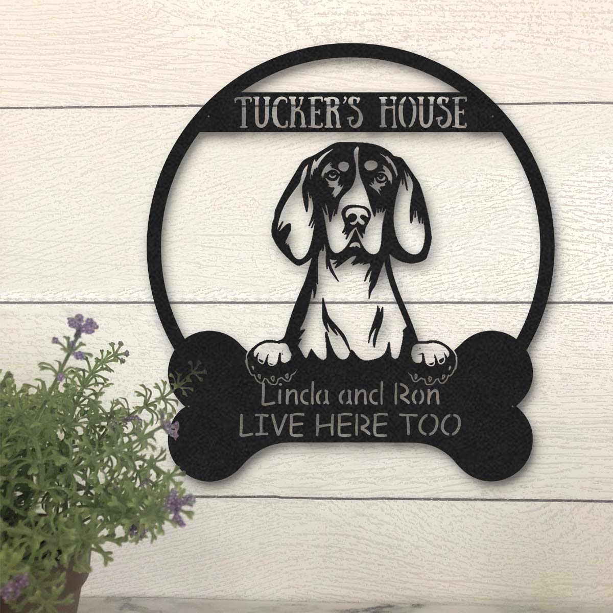 litzzy American English CoonHound Dog Lovers Funny Personalized Metal House Sign - Custom metal signs - Metal Monogram Sign for Home Decor    
