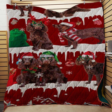 litzzy Boykin Spaniel Snow Christmas CL11120109MDQ Fleece Blanket Quilt Blanket   