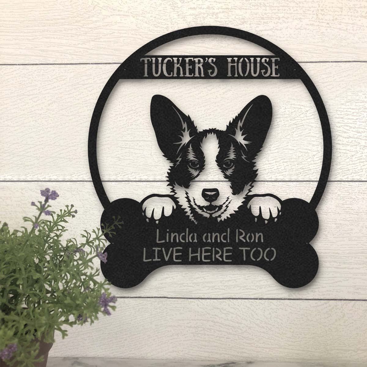 litzzy Corgi Dog lovers Funny Personalized Metal House Sign - Custom metal signs - Metal Monogram Sign for Home Decor    