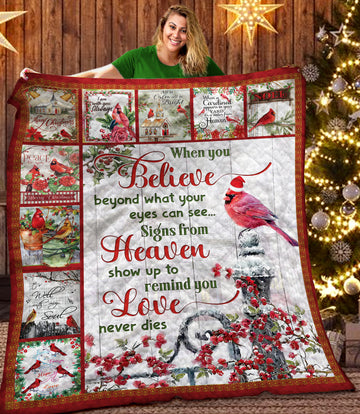litzzy Cardinal Christmas DTH121101HD Fleece Blanket Quilt Blanket   