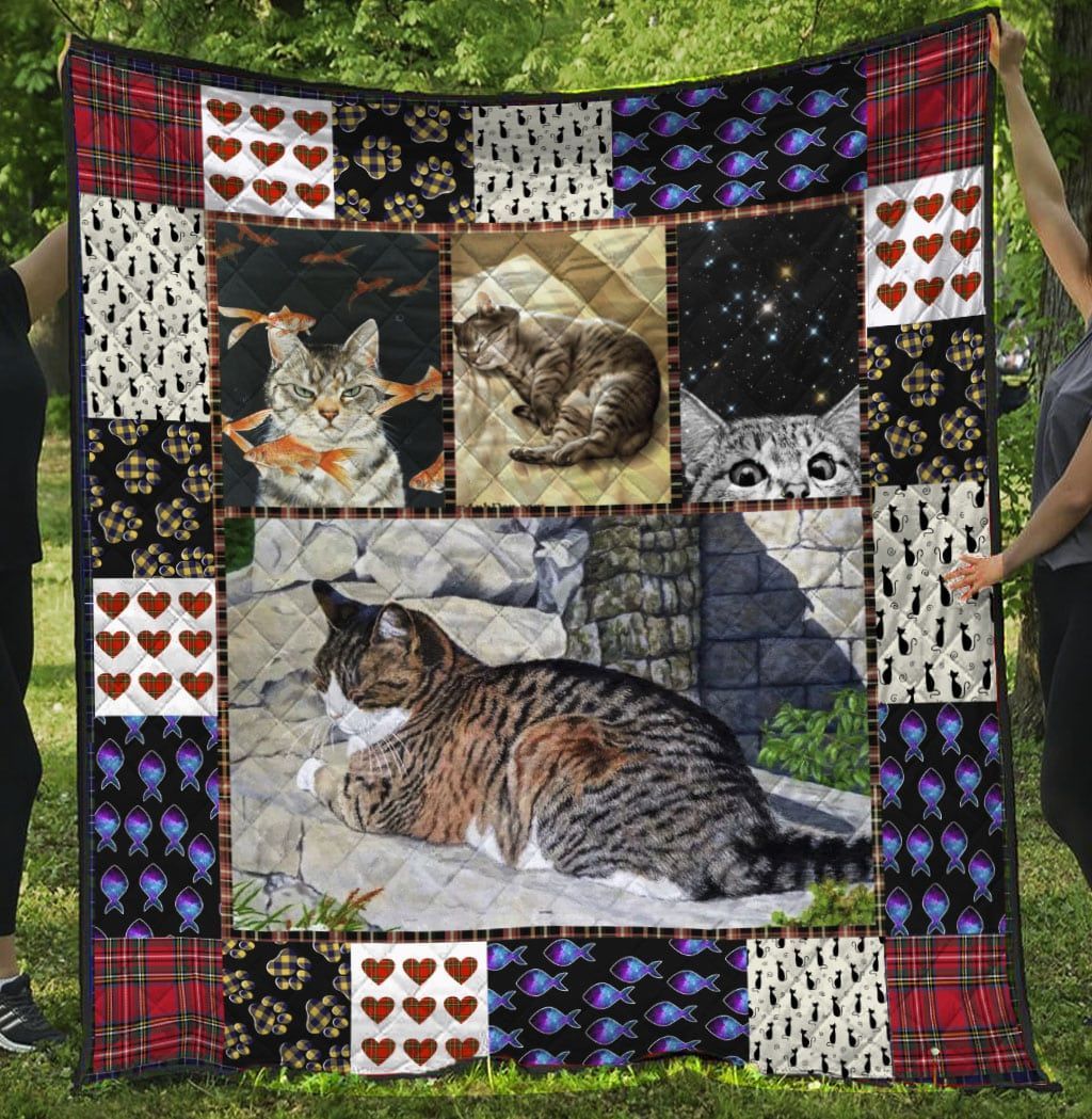 litzzy Cat 01 Cat 0712 Fleece Blanket Christmas Christmas Gifts Merry Christmas Holiday Gifts Gift Dhc03011747Dd Quilt Blanket   