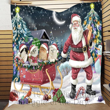 litzzy Cat Christmas CL18110558MDQ Fleece Blanket Quilt Blanket   