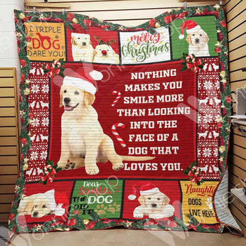 litzzy Golden Retriever Dog Christmas CL15100193MDQ Fleece Blanket fleece blanket   