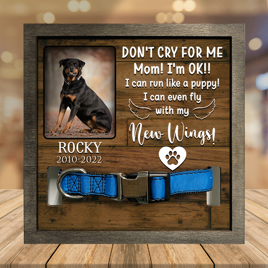 litzzy A Rottweiler, Dog Picture Frames, Memorial Pet, you were my favorite Hello, Pet Lover Gifts Pet Picture Frame Style 2 7.9 x 7.9 