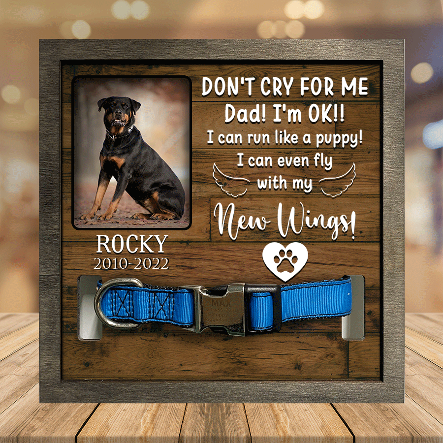 litzzy A Rottweiler, Dog Picture Frames, Memorial Pet, you were my favorite Hello, Pet Lover Gifts Pet Picture Frame Style 3 7.9 x 7.9 