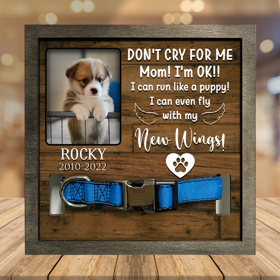litzzy A Pembroke Welsh Corgi Dog Picture Frames, Memorial Pet, my hardest goodbye Pet Lover Gifts Pet Picture Frame Style 2 7.9 x 7.9 
