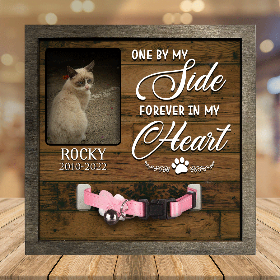 litzzy A Siamese Pet Picture Frames Memorial Cat you're my favorite Cat Lover Gift, Memorial Gifts Pet Picture Frame Style 3 7.9 x 7.9 