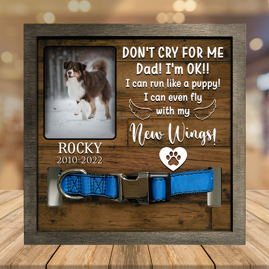 litzzy A Australian Shepherd, Dog Picture Frames, Memorial Pet, I can run like a puppy Dog Memorial Gifts Pet Picture Frame Style 3 7.9 x 7.9 