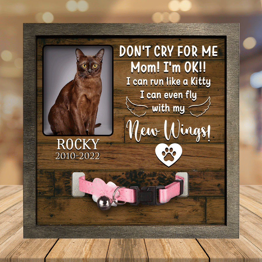 litzzy Personalized A Burmese Pet Picture Frames Memorial Cat my hardest goodbye Cat Lover Gifts Pet Picture Frame Style 5 7.9 x 7.9 