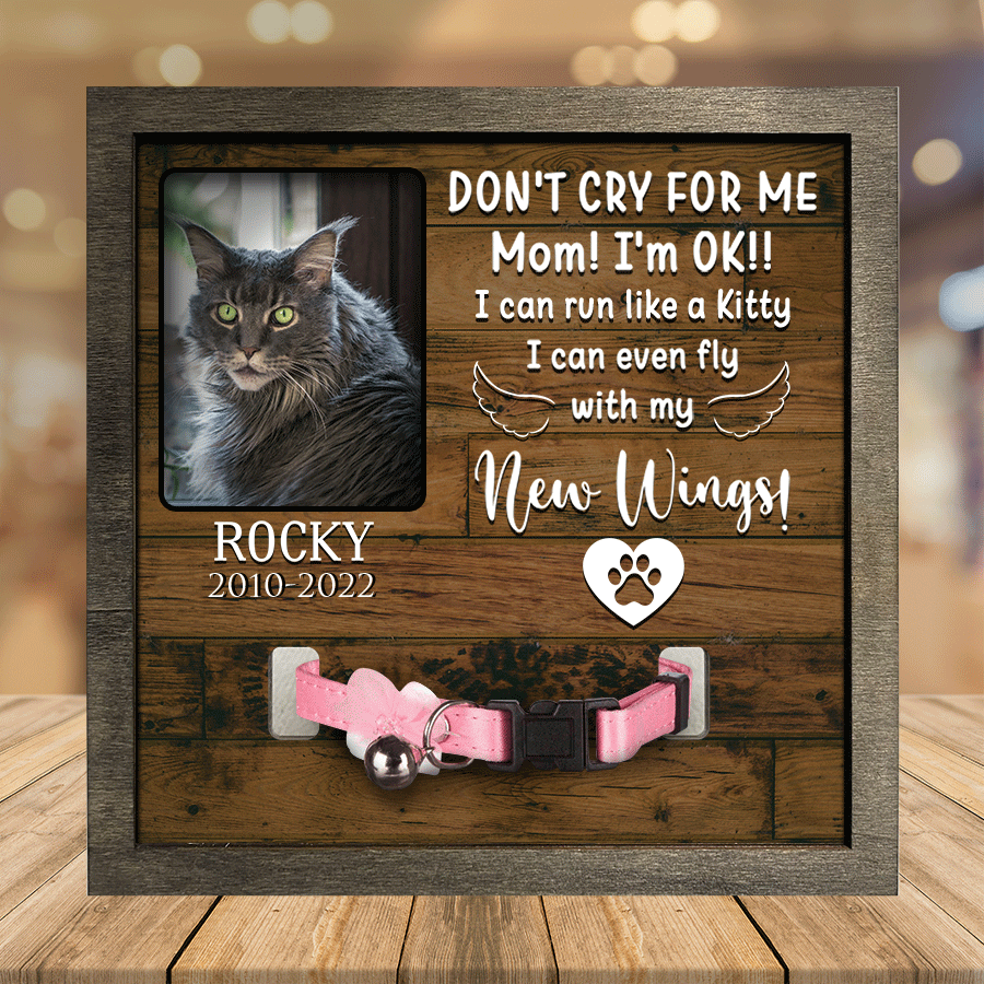litzzy A Maine Coon Cat Picture Frames Memorial Pet you're my favorite Memorial Gifts Pet Lover Gifts Pet Picture Frame Style 2 7.9 x 7.9 