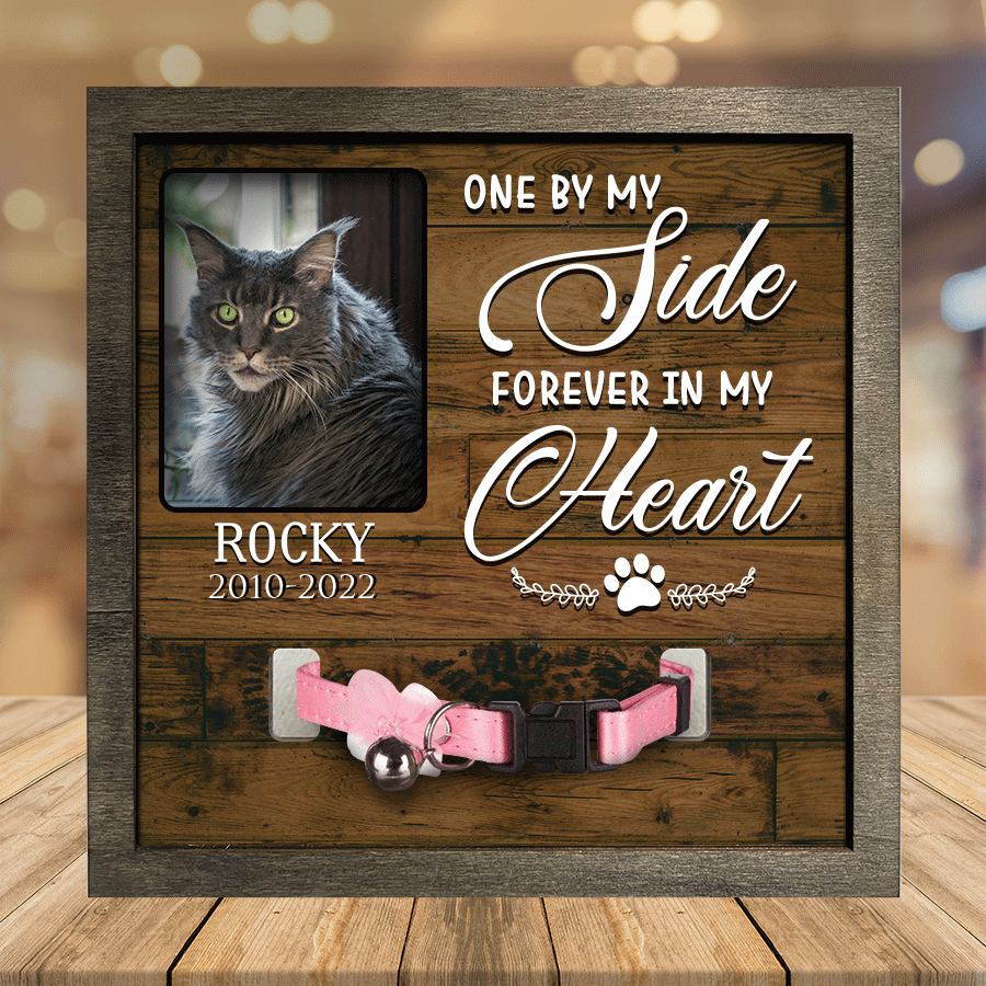litzzy A Maine Coon Cat Picture Frames Memorial Pet you're my favorite Memorial Gifts Pet Lover Gifts Pet Picture Frame Style 4 7.9 x 7.9 