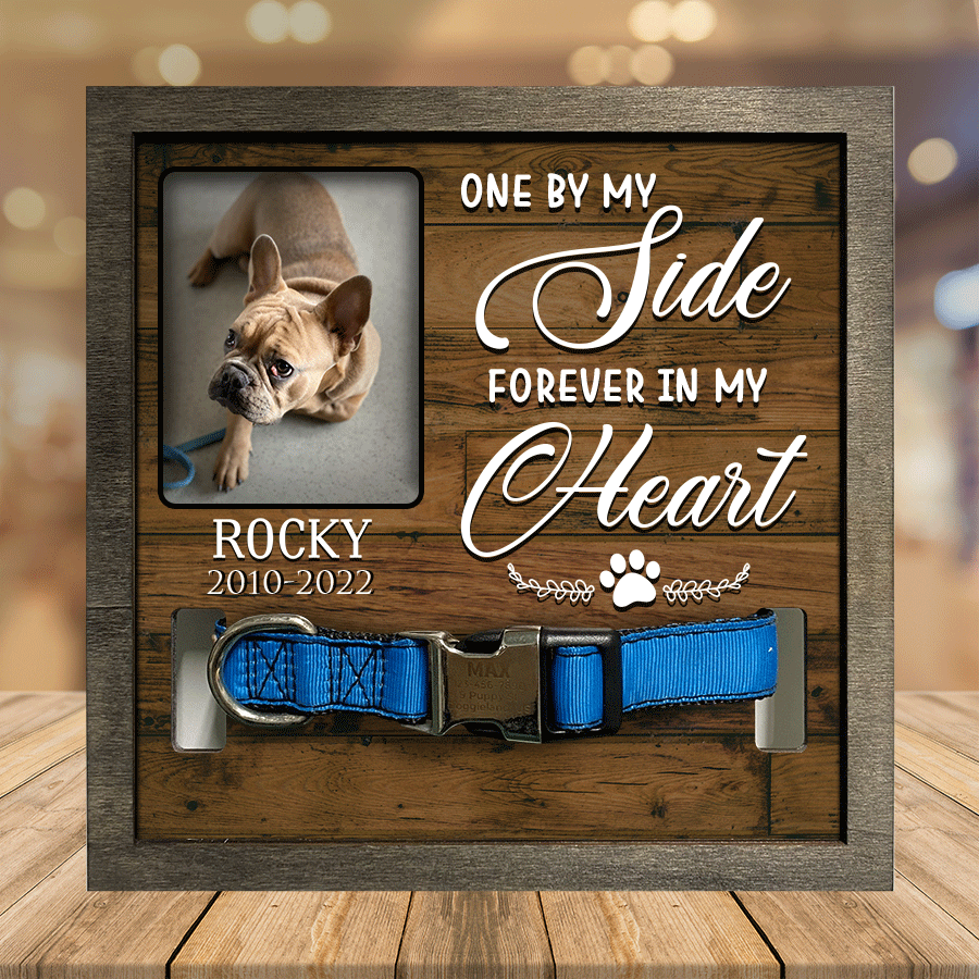 litzzy A French Bulldog, Pet Picture Frames Memorial Dog you're my favorite Dog Lover Gift, Memorial Gifts Pet Picture Frame Style 4 7.9 x 7.9 