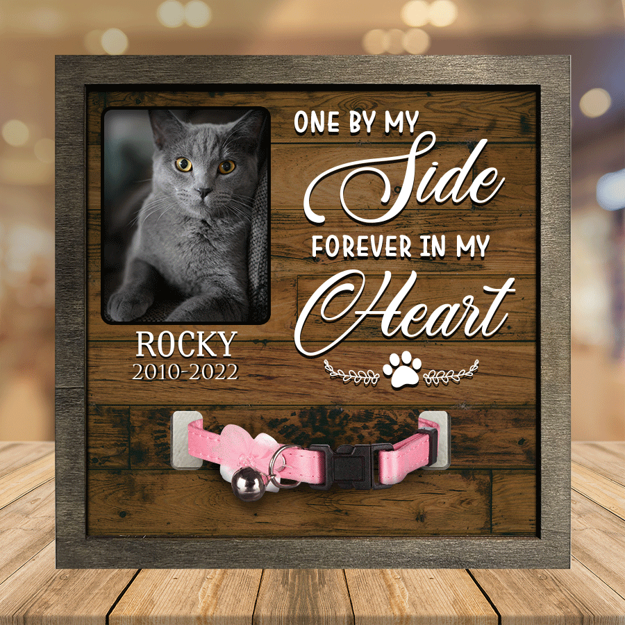 litzzy A British Shorthair Pet Picture Frames Memorial Cat you're my favorite Cat Lover Gift, Memorial Gifts Pet Picture Frame Style 4 7.9 x 7.9 