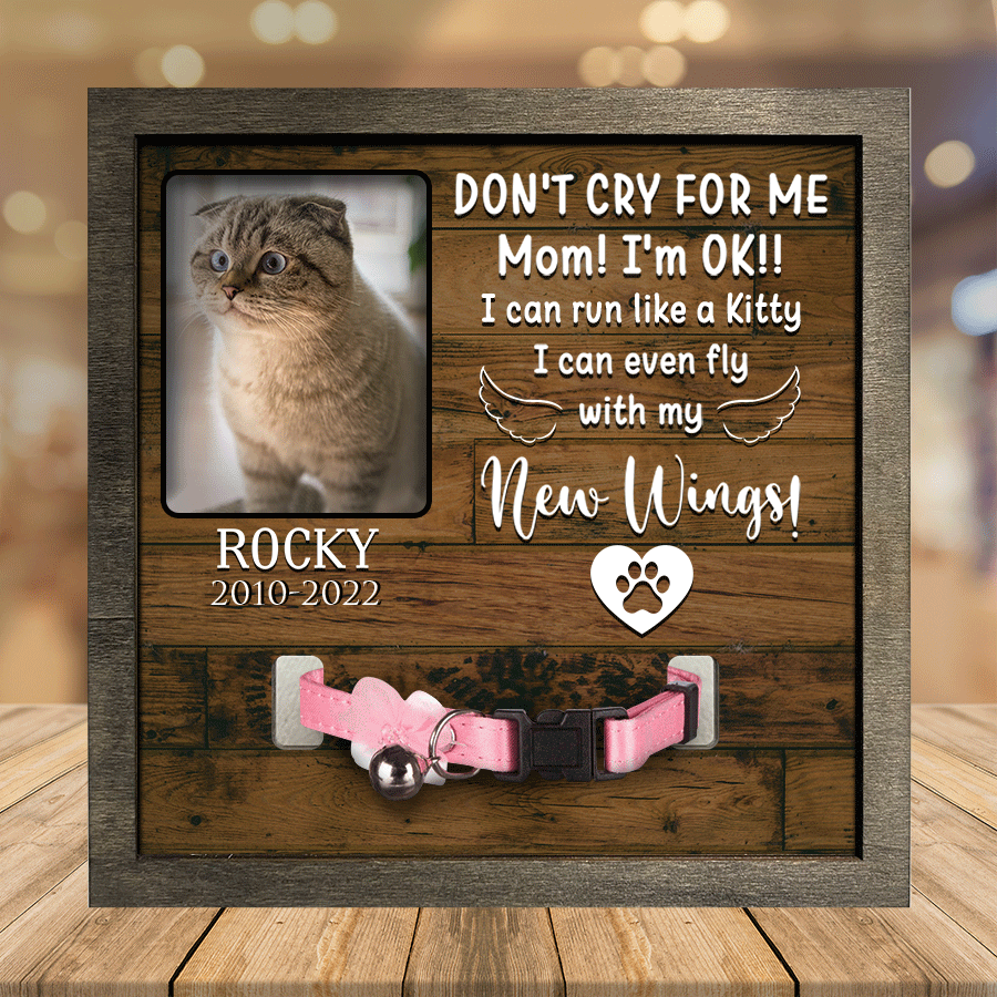 litzzy A Scottish Fold Pet Picture Frames Memorial Cat you're my favorite Cat Lover Gift, Memorial Gifts Pet Picture Frame Style 2 7.9 x 7.9 