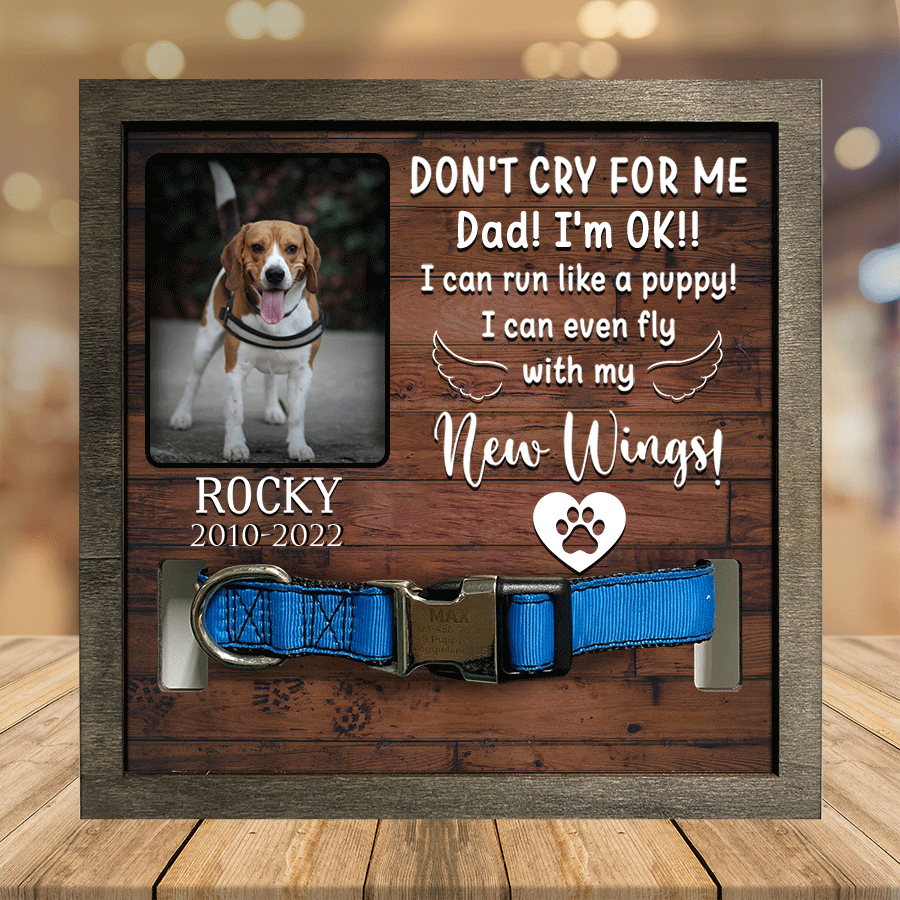 litzzy Customized A Beagle Pet Picture Frames Memorial Dog you're my favorite Dog Lover Gift, Memorial Gift Pet Picture Frame Style 3 7.9 x 7.9 